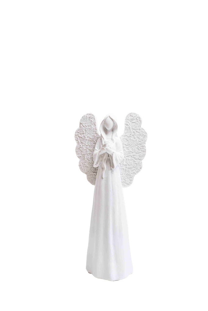 Angel B11900