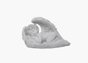 Glowing Angel A1194