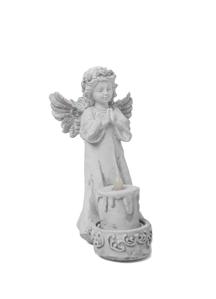 Angel A3686