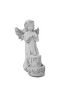 Angel A3686