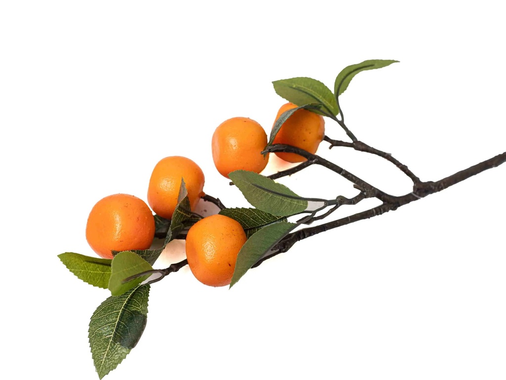 Decorative Branch A10875