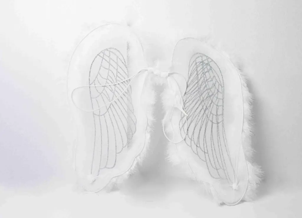 Anděl křídla A10684