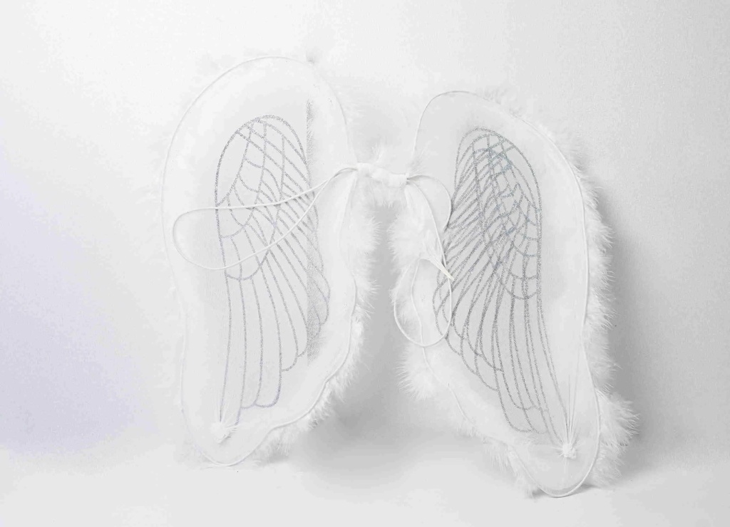 Angel Wings A10684