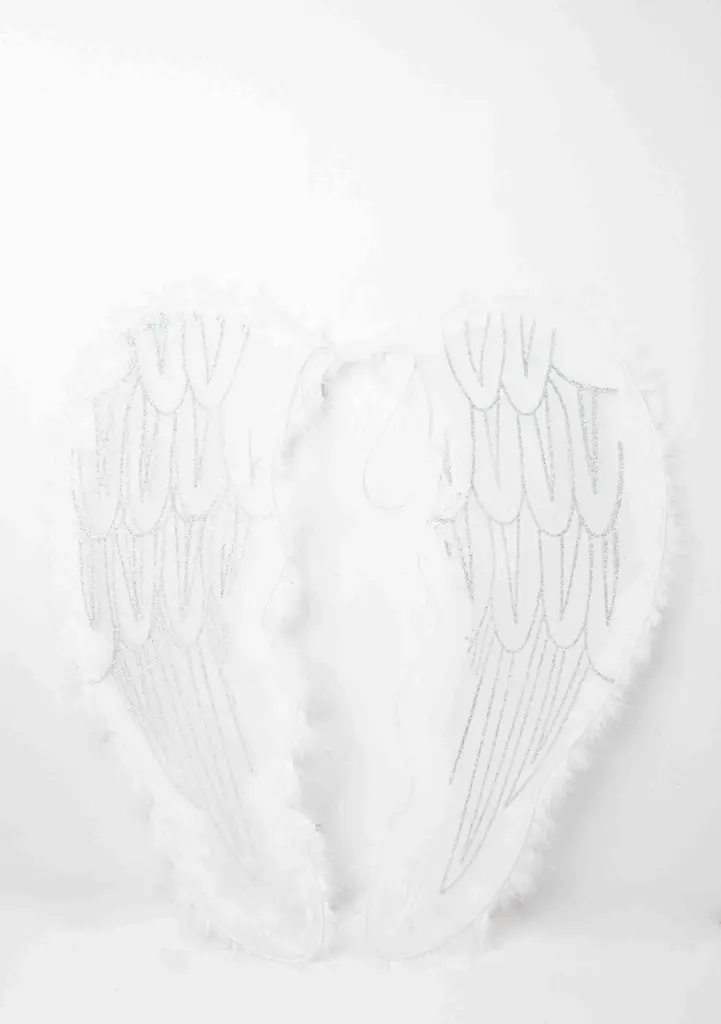 Angel Wings A10685