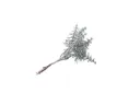 Christmas Branch A10665