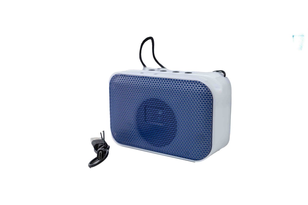 Loa di động không dây A2960