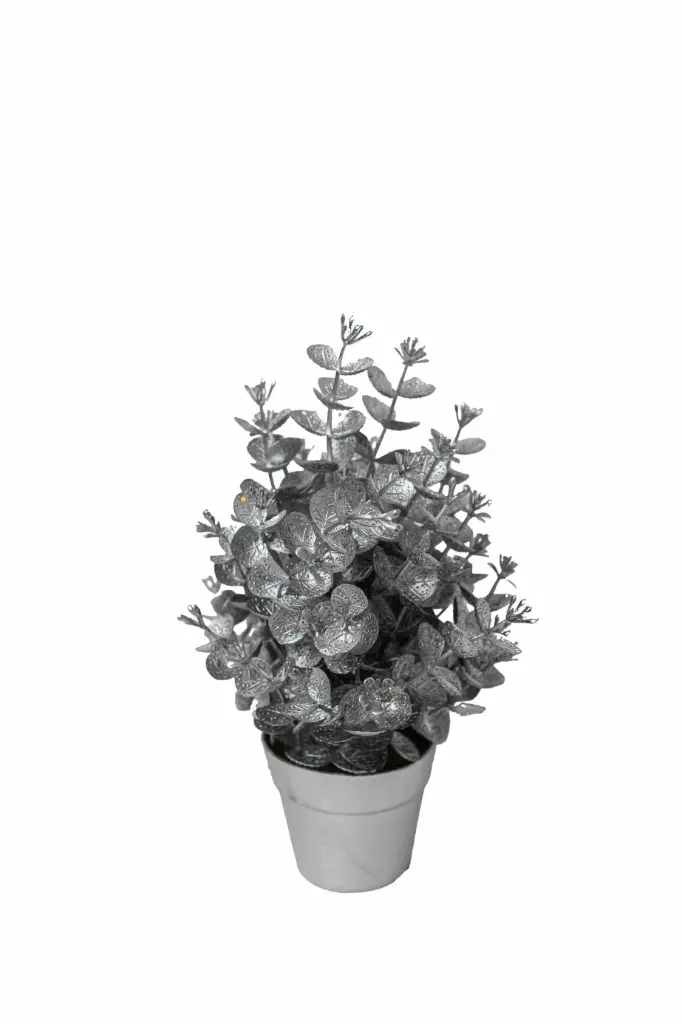 Christmas Tree A10893