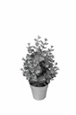 Christmas Decoration Tree A10893