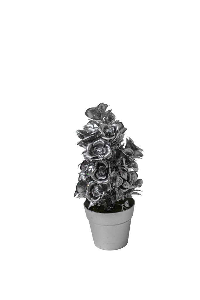 Christmas Tree A10895