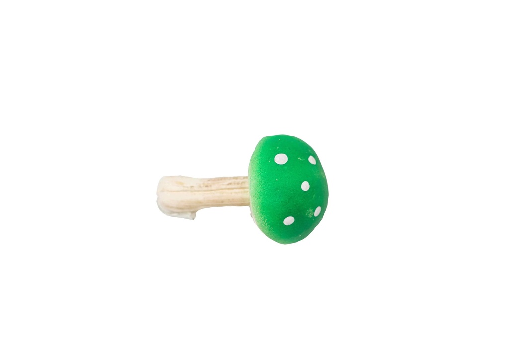 Dekorativní houba A6696