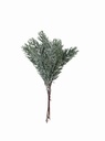 Christmas Branch 10667
