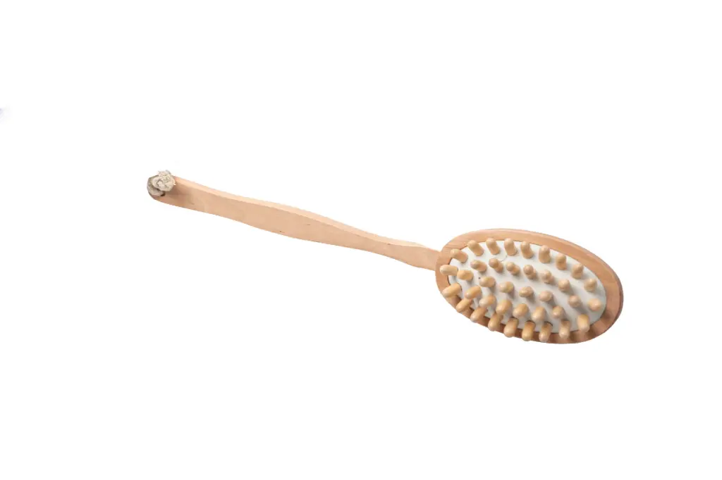 Back Massage Brush B5098