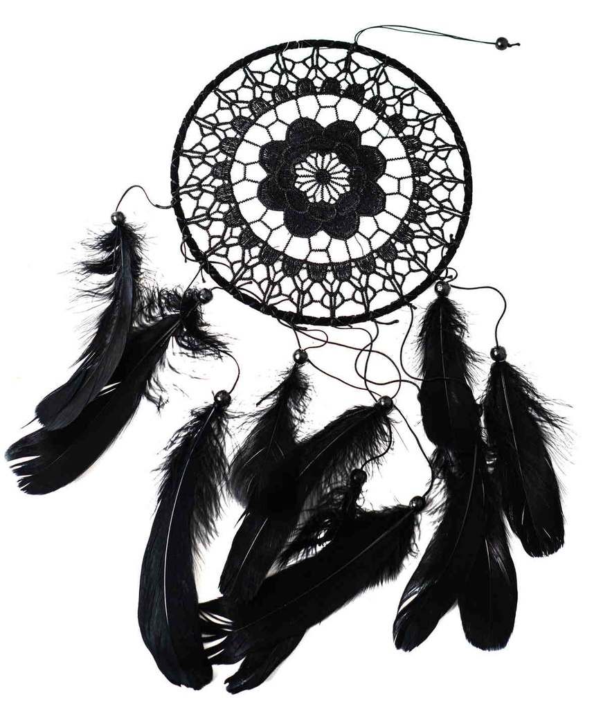 Dreamcatcher 1000