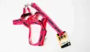 Dog Harness with Leash A5586