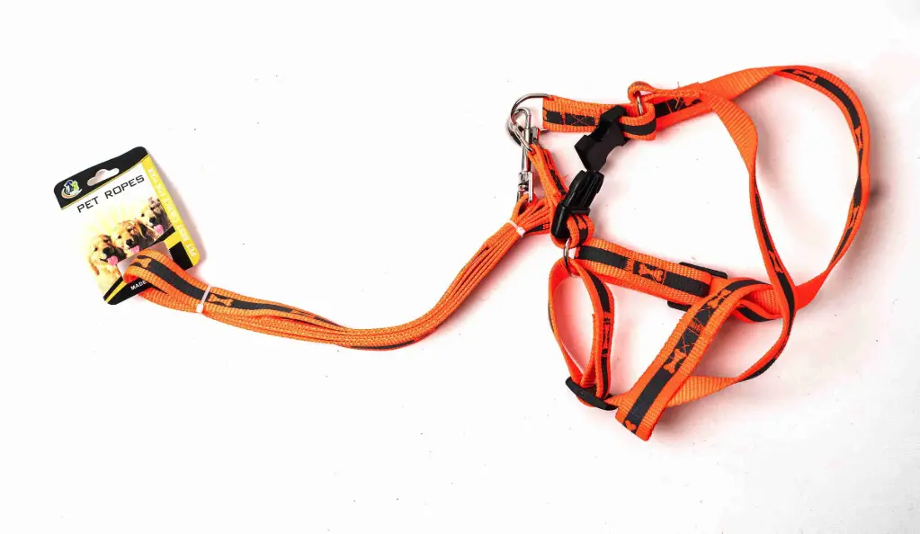 Dog Harness with Leash A5583