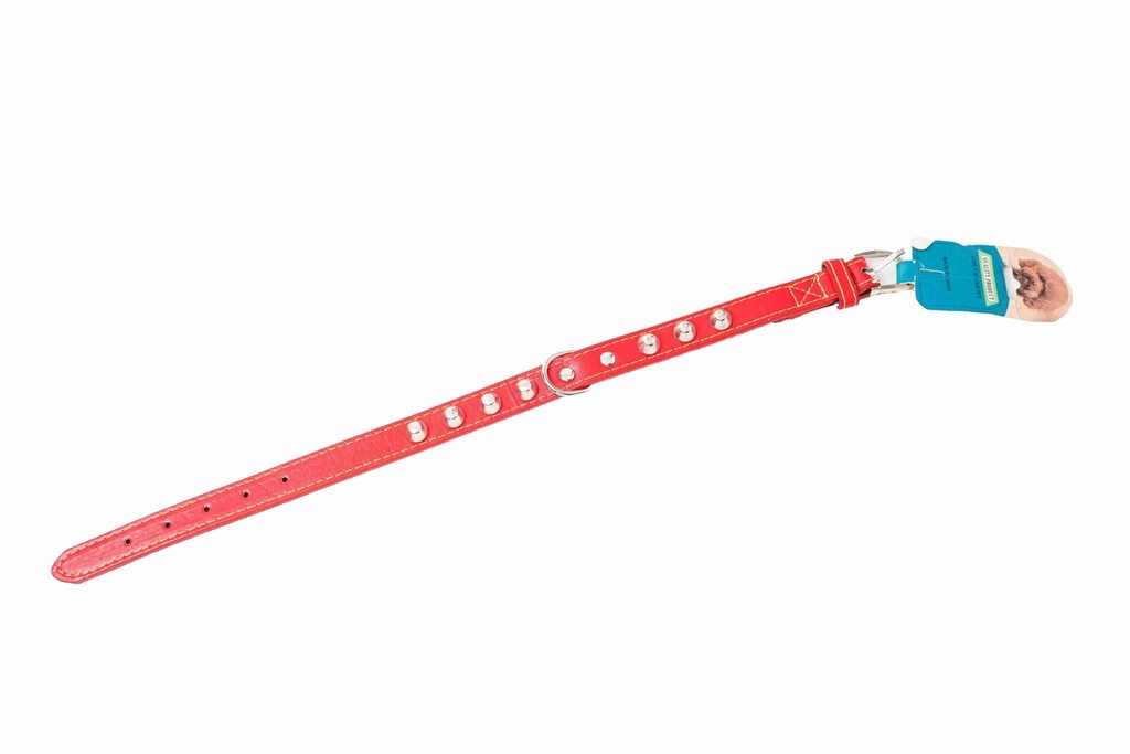Dog collar 5367
