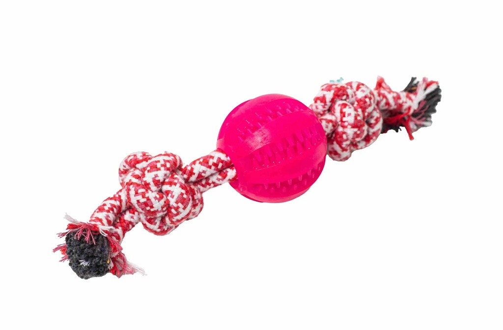 Dog Toy (12ks) A2611