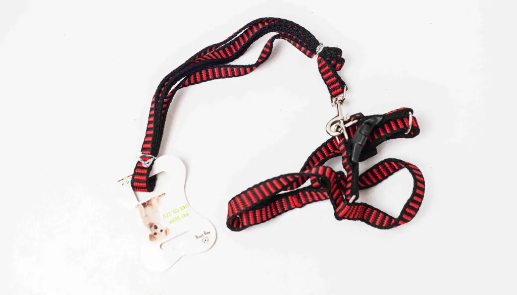 Harness 5597