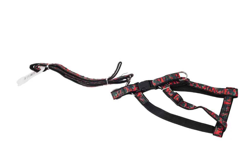 dog harness with leash 1106