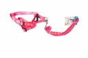 Dog Harness and Leash A2635