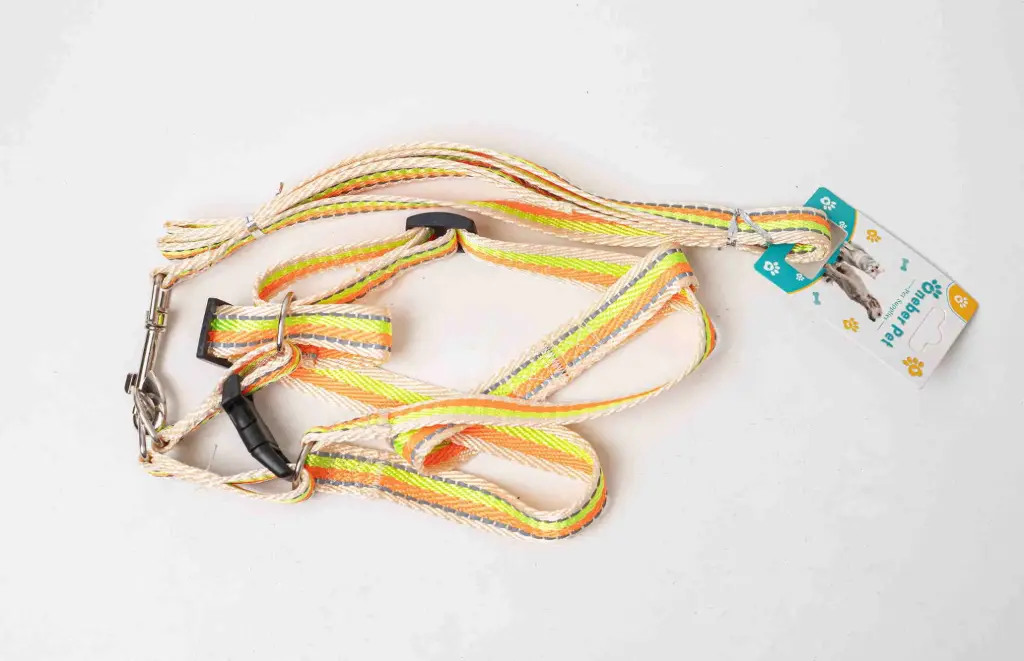 Harness and Leash A2638