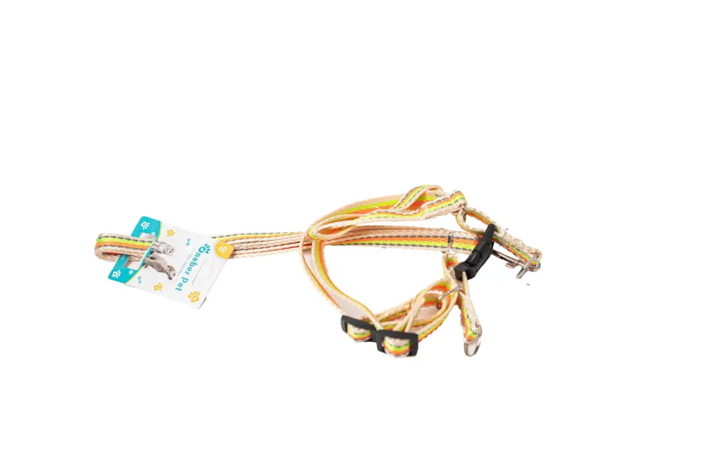 Dây dắt và dây yếm cho chó