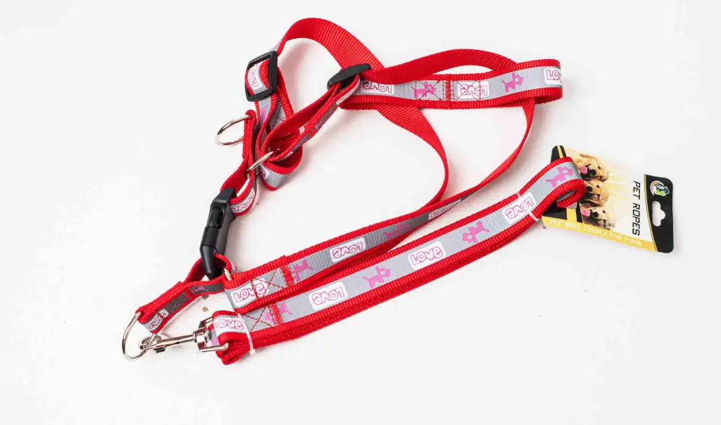Dog Harness with Leash A5586