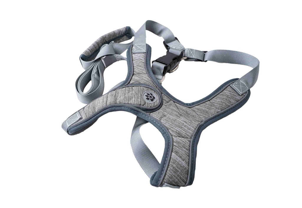 Dog Harness and Leash A2646