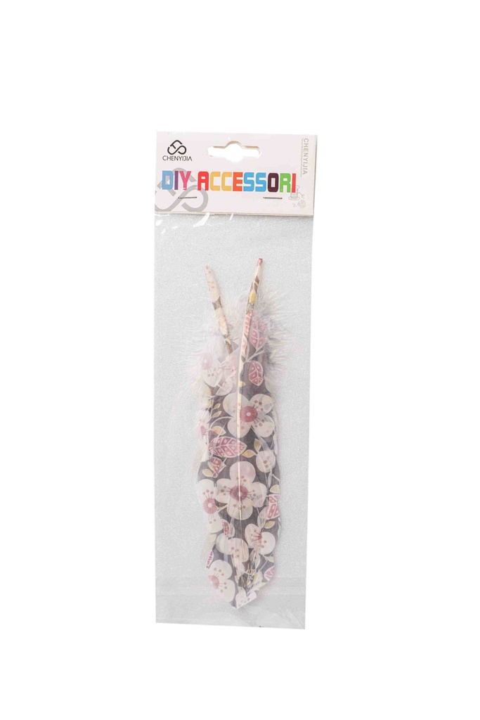 Decorative feathers n711