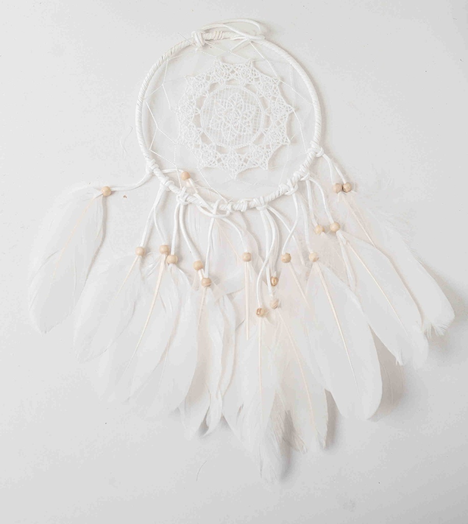 Dreamcatcher 7000