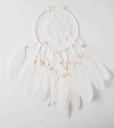 Dreamcatcher 7000