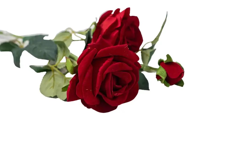 Artificial roses 5400