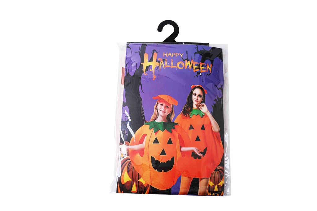 Halloween costume 11029