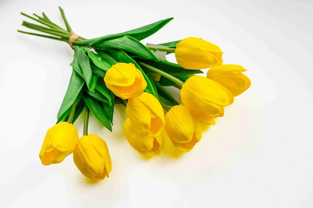 Tulip A8396