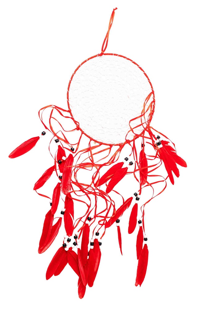 Dreamcatcher 7000-Branch 17