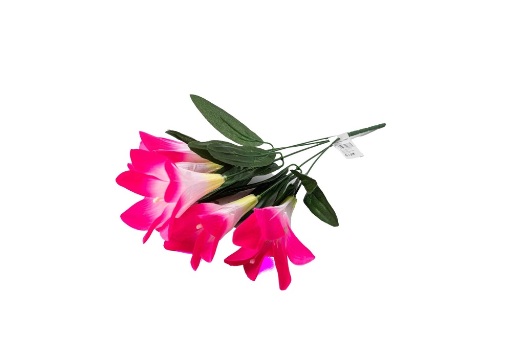 Lily A6866