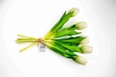 Tulip A10319