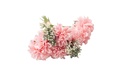 Artificial Flowers A371 (23cm)