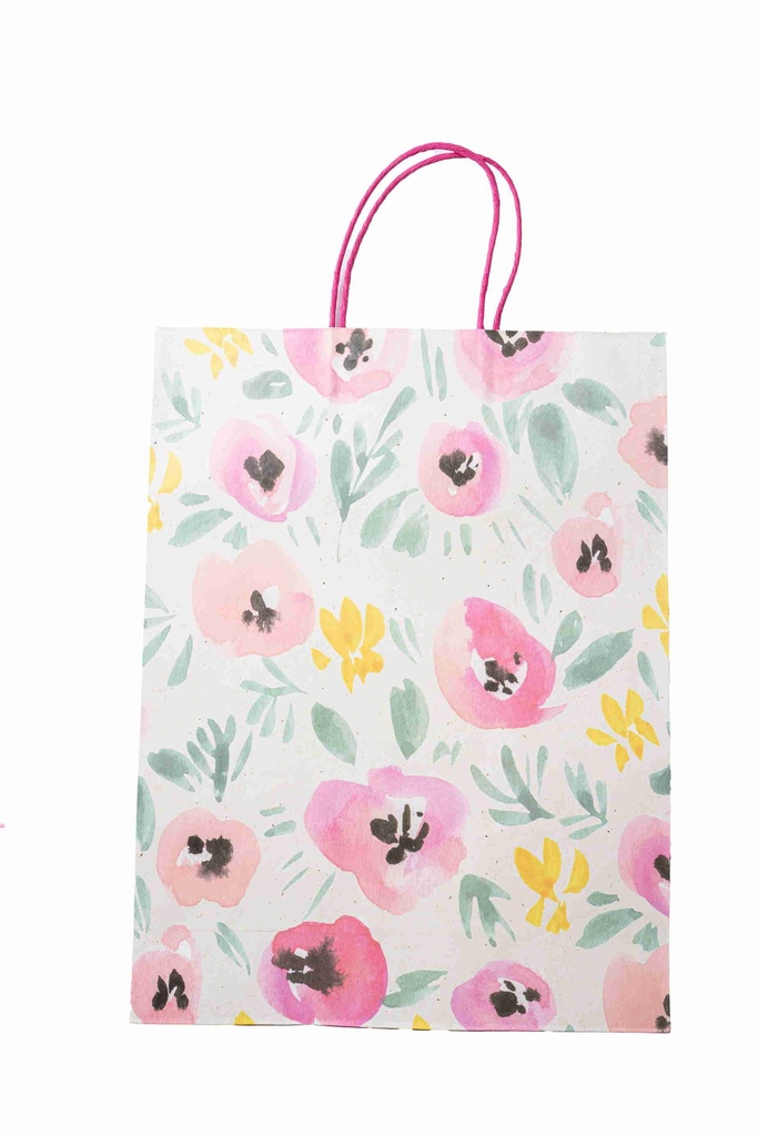 Gift bag N607