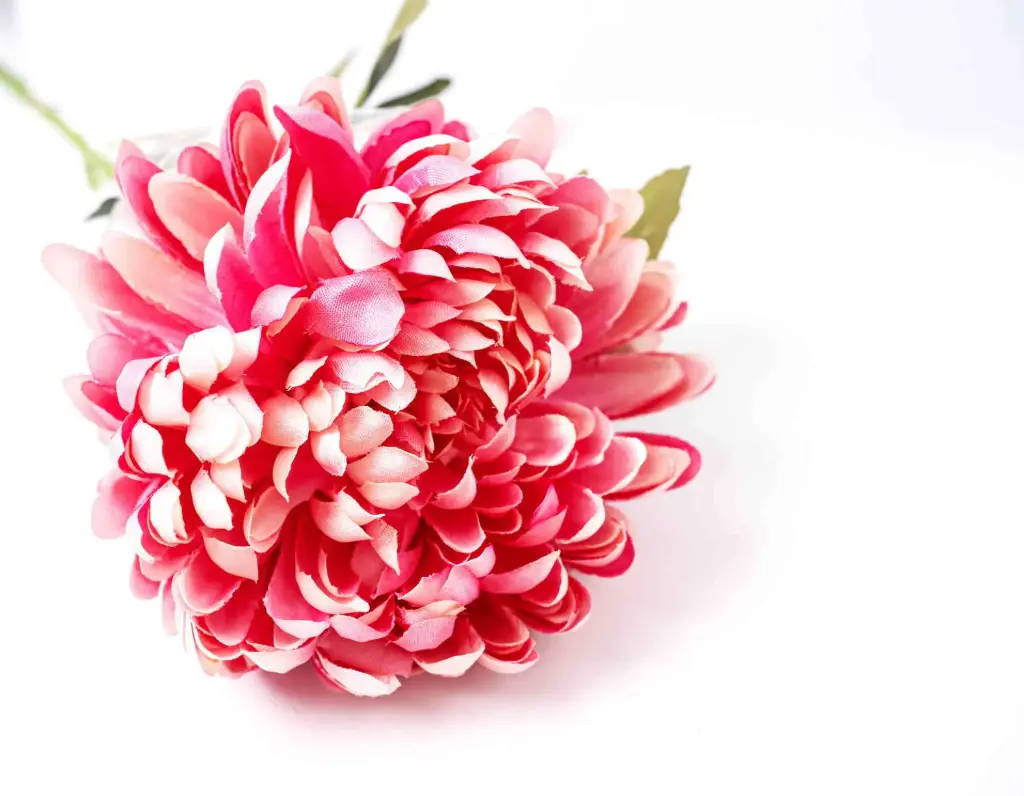 Artificial Flowers 471