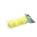 Tennis balls 3pcs A16719