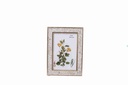 Photo frame 10x15cm A5872