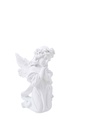 Angel A832