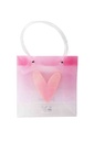Gift bag N638