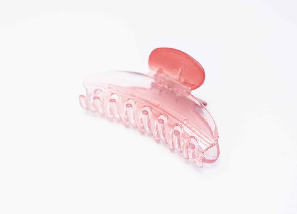 Hair clip A5955