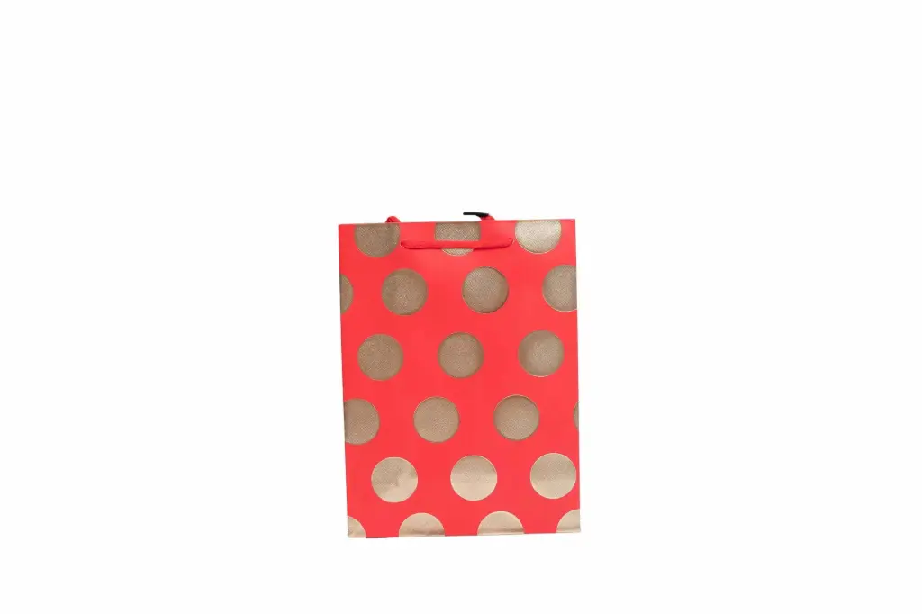 Túi quà size S A12030