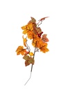 Autumn branch 56cm A17049