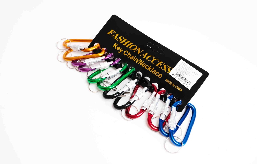 Keychain -cabinet A1460