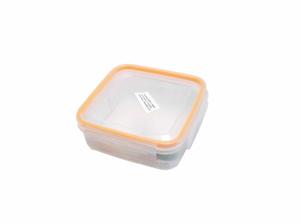 Plastic box