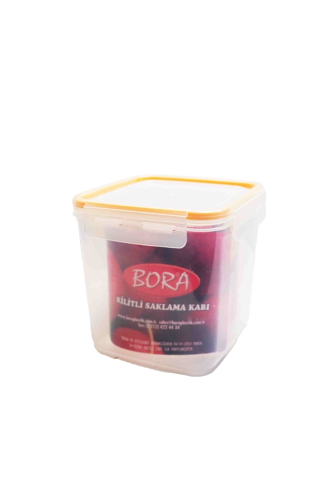Plastic container